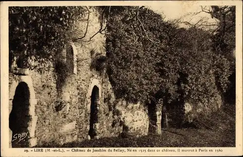Ak Liré Maine et Loire, Chateau de Joachim du Bellay