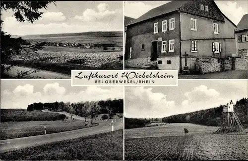 Ak Wiebelsheim am Rhein, Gasthof, Hochsitz, Feld, Wald