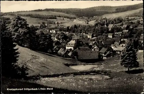 Ak Stützerbach Ilmenau Thüringer Wald, Gesamtansicht