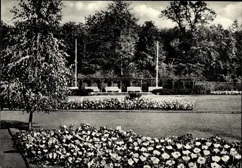 Ak Pinneberg in Holstein, Rosengarten