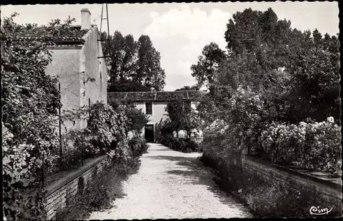 Ak Saint Fraigne Charente, Aerium, Vue generale