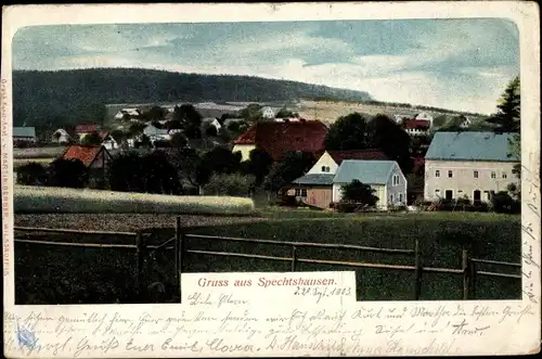 Ak Spechtshausen Hartha Hintergersdorf Tharandt im Erzgebirge, Teilansicht