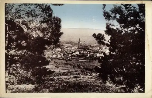 Ak Fleurie Rhône, Dans son nid