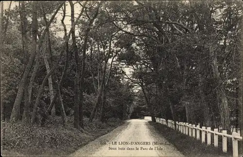 Ak Le Lion d'Angers Maine et Loire, Sous bois dans le Parc de l'Isle