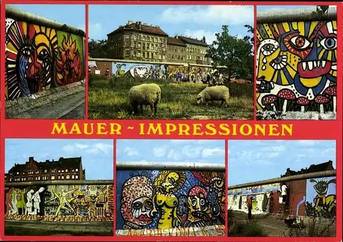 Ak Berlin, Mauer Impressionen, Grafitti, Schafe