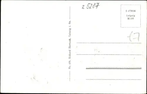 Ak Leisnig in Sachsen, Neumarkt