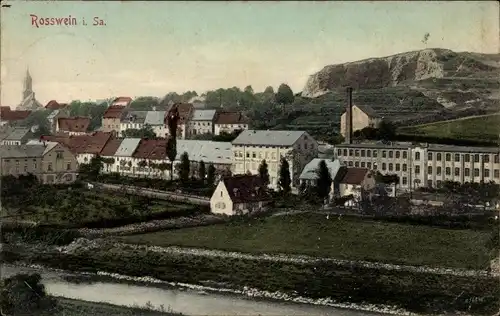 Ak Roßwein in Sachsen, Panorama