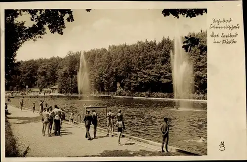 Ak Crimmitschau Sachsen, Schwimmbad, Freibad im Walde