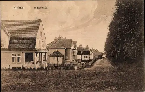 Ak Bad Kleinen in Mecklenburg Vorpommern, Waldstraße, Wohnhäuser