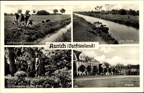 Ak Aurich in Ostfriesland, Kanal, Markt, Bürgermeister Müller Platz, Kühe auf der Wiese