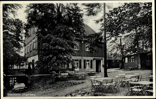 Ak Neustadt in Sachsen, Gaststätte Ungerberg