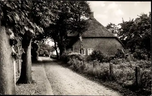 Ak Nieblum auf der Insel Föhr Nordfriesland, Dorfstraße