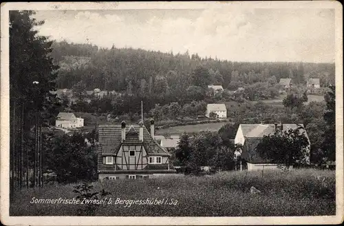 Ak Zwiesel Berggießhübel in Sachsen, Teilansicht des Ortes