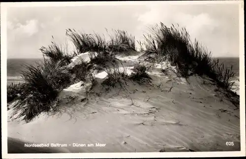 Ak Baltrum, Strand, Dünen am Meer