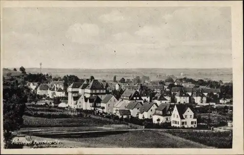 Ak Mosel Zwickau in Sachsen, Gesamtansicht