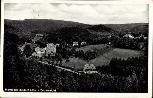 Ak Hammerleubsdorf Leubsdorf in Sachsen, Talansicht