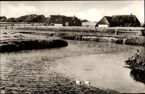 Ak Witsum Insel Föhr Nordfriesland, Godel