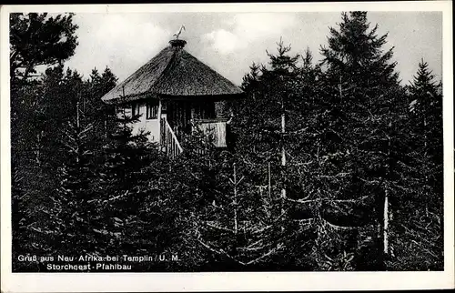 Ak Templin Uckermark, Neu Afrika, Storchnest Pfahlbau