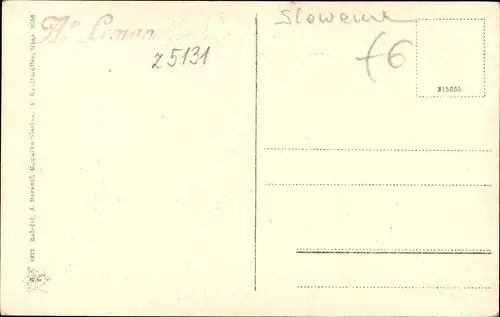 Ak Rogaška Slatina Rohitsch Sauerbrunn Slowenien, Panorama