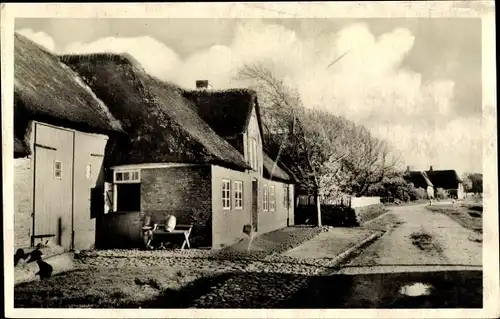 Ak Oldsum Insel Föhr Nordfriesland, Ortspartie, Häuser, Weg