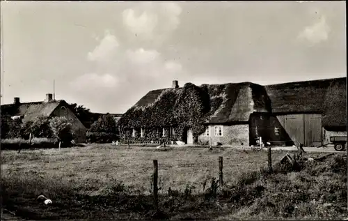 Ak Utersum Insel Föhr Nordfriesland, Bauernhof