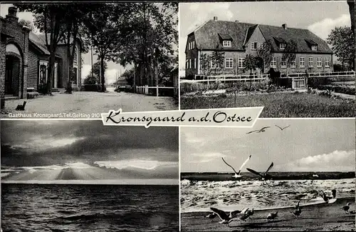 Ak Kronsgaard in Schleswig Holstein, Möwen, Strand, Gasthaus Kronsgaard