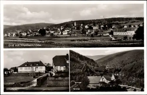 Ak Krumbach im Odenwald, Gesamtansicht, Schule, Mühle