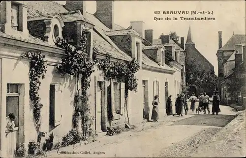 Ak Beauvau Maine et Loire, Rue de la Tranchardiere