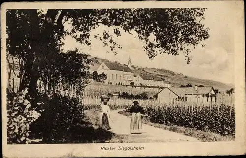 Ak Sigolsheim Elsass Haut Rhin, Kloster Siegolsheim, Weinstöcke