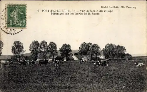 Ak Port d'Atelier Haute Saône, Vue générale, Paturages