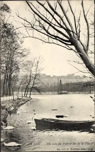Ak Lyon Rhône, Un coin du Parc et lac de la Tete d'Or