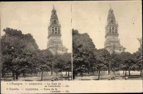 Stereo Ak Córdoba Andalusien Spanien, La Tour de la Cathedrale