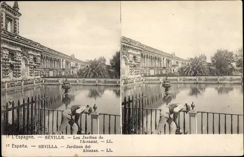 Stereo Ak Sevilla Andalusien, Les Jardins de l'Alcazar