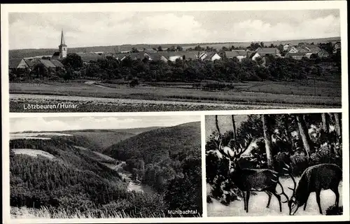 Ak Lötzbeuren im Hunsrück, Blick auf den Ort, Mühlbachtal, Hirsche