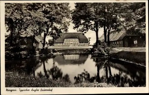 Ak Niesgrau, Blick auf typischen Angler Bauernhof