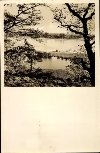 Ak Schnakenbek in Lauenburg, Blick vom Waldgarten der Landhausklinik Sandkrug