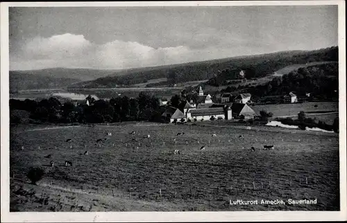 Ak Amecke Sundern im Sauerland, Panorama