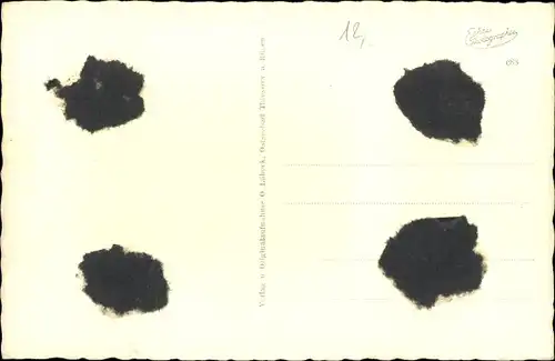 Ak Windmühle, Sommerliche Abendstimmung