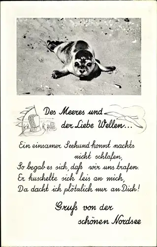 Ak Nordsee Deutschland, Ein Seehund auf dem Strand, Des Meeres und der Liebe Wellen