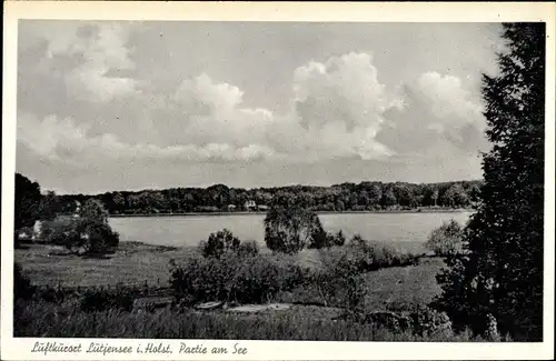 Ak Lütjensee in Holstein, Partie am See