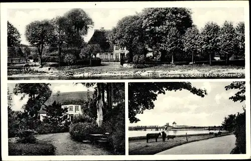 Ak Lindaunis Boren an der Schlei, Gasthof Lindaunis