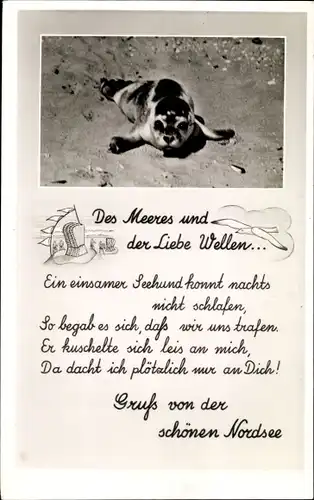 Ak Nordsee Deutschland, Seehund am Strand, Des Meeres und der Liebe Wellen