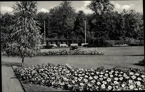 Ak Pinneberg in Holstein, Rosengarten