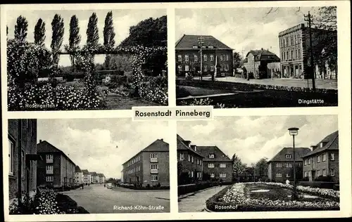 Ak Pinneberg in Holstein, Rosengarten, Dingstätte, Richard Köhn Straße, Rosenhof