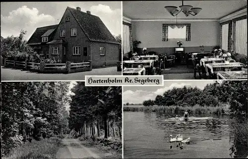 Ak Hartenholm Schleswig Holstein, Pension Café Voss, Schwäne, Waldweg