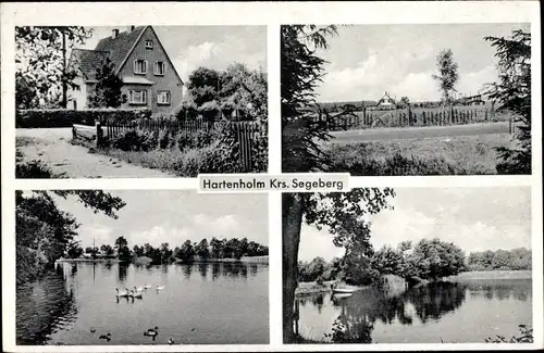 Ak Hartenholm Schleswig Holstein, Haus mit Garten, Straßenansicht, Wasserpartie, Enten