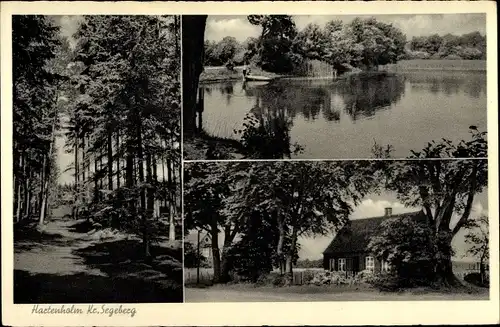Ak Hartenholm Schleswig Holstein, Waldpartie, Seeblick, Haus