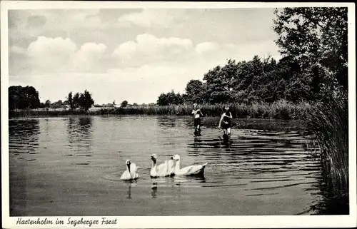 Ak Hartenholm Schleswig Holstein, Seepartie
