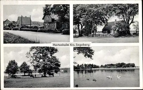 Ak Hartenholm Schleswig Holstein, Schwanenteich, Straßenpartie