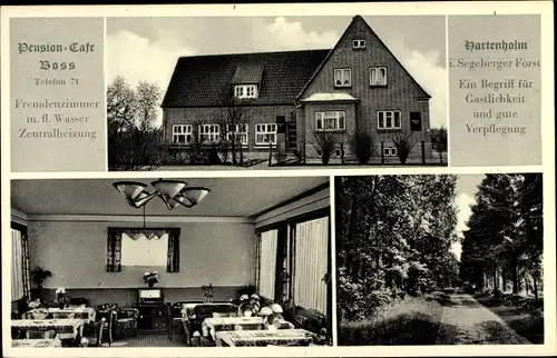 Ak Hartenholm Schleswig Holstein, Pension Café Voss, Aussen- und Innenansicht, Waldpartie